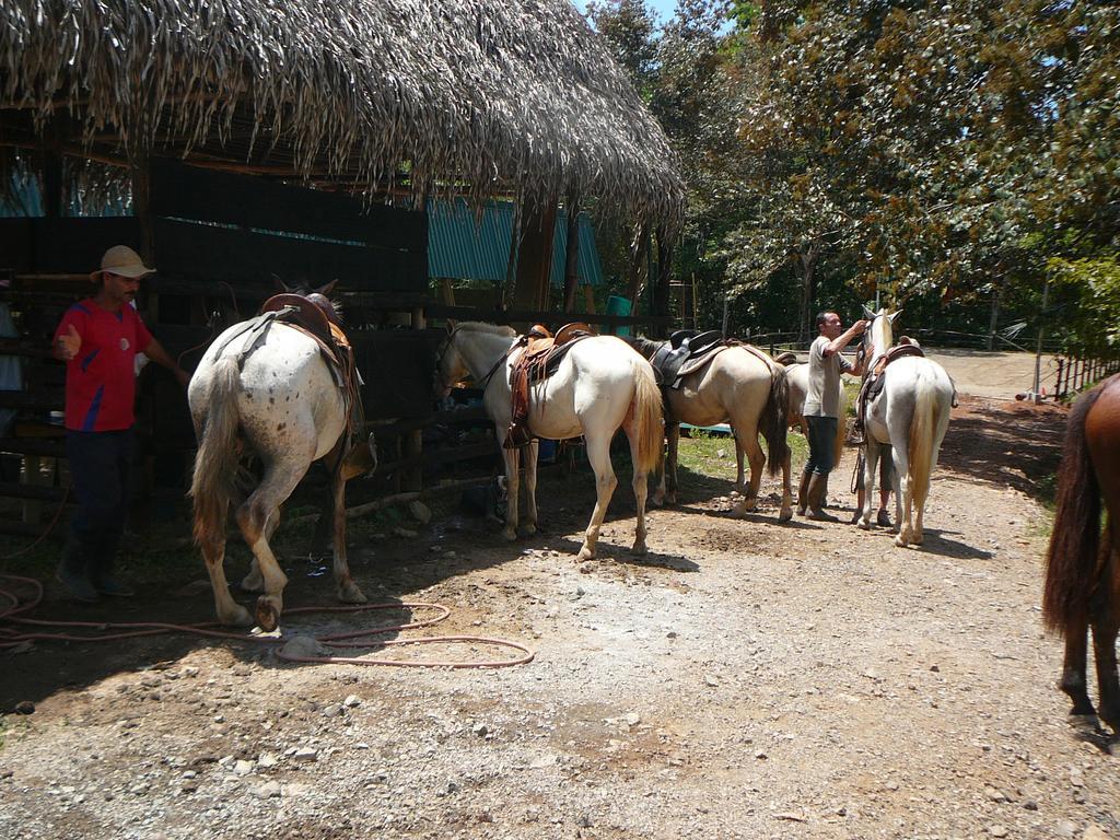 Casas Buenas Brisas Villa Ojochal Rom bilde